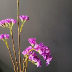 Pure Kunsttak Limonium 70 cm lavendel