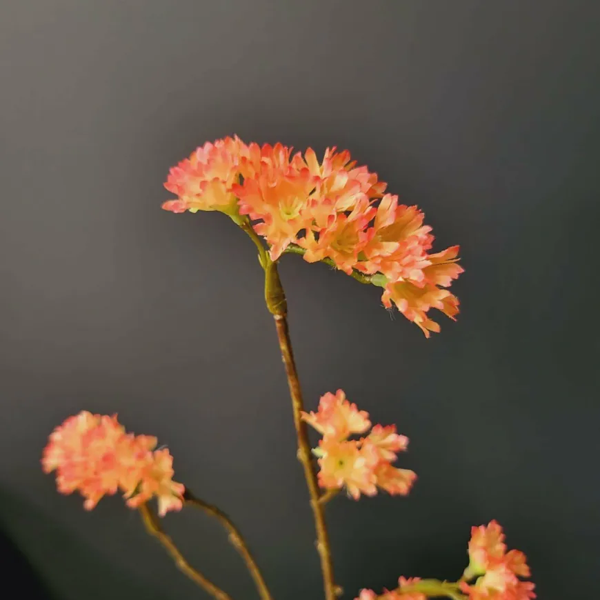 Pure Kunsttak Limonium 70 cm Oranje