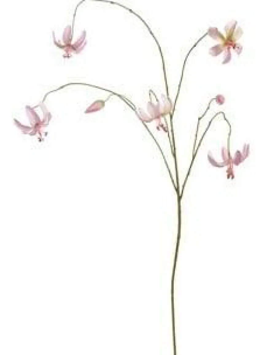 Pure Kunsttak Martagon Lelie 100 cm roze
