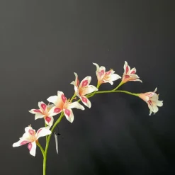 Pure Kunsttak zwaardlelie peach 95 cm