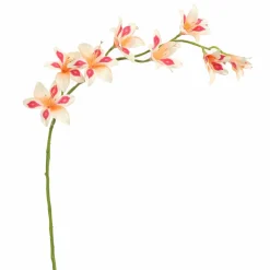 Pure Kunsttak zwaardlelie peach 95 cm
