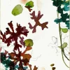 Wandkraft Art Crafts 001
