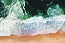 Wandkraft Art of Nature 011