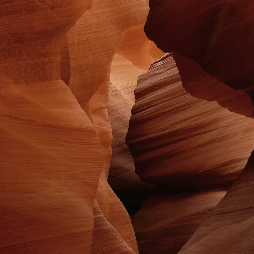 Wandkraft Art of Nature 007
