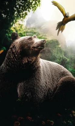 Wandkraft Bear