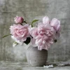 Wandkraft Botanical Stories 006