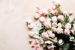 Wandkraft Botanical Stories 004