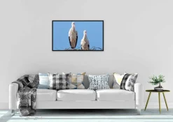 Wandkraft Bright Wings 022