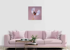 Wandkraft Bright Wings 020