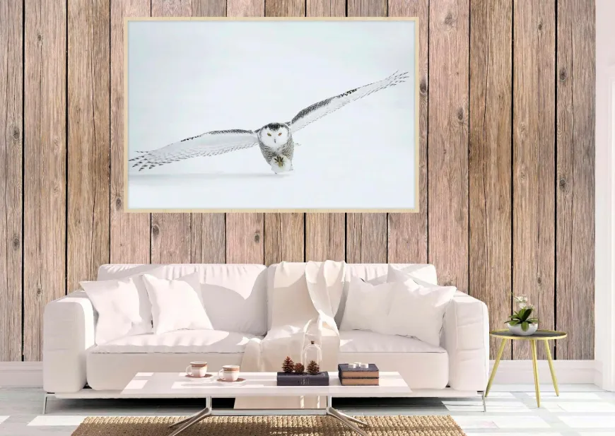 Wandkraft Bright Wings 008
