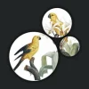 Wandkraft Bright Wings 027 - Set van 3