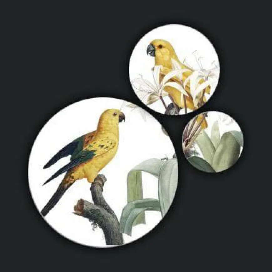 Wandkraft Bright Wings 027 - Set van 3