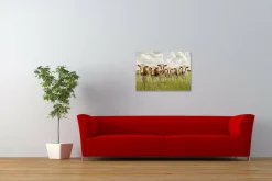 Wandkraft Curious Cows