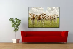 Wandkraft Curious Cows