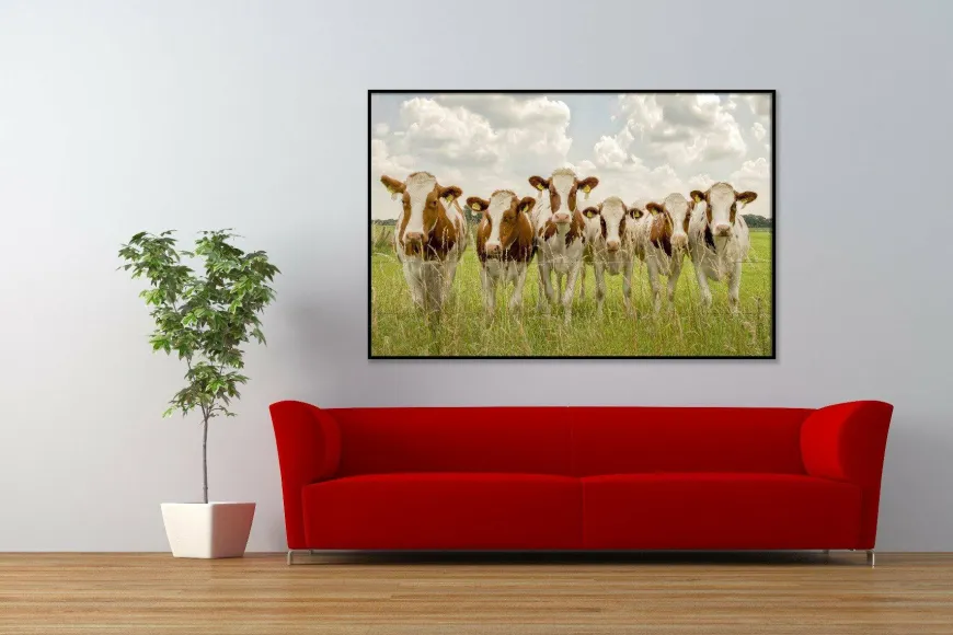 Wandkraft Curious Cows