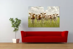Wandkraft Curious Cows