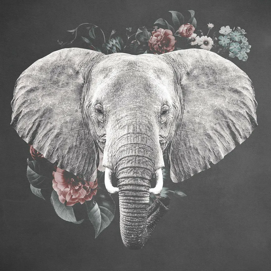 Wandkraft Elephant with Flowers - 74 x 74 cm