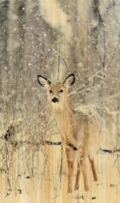 Wandkraft European Wildlife 007