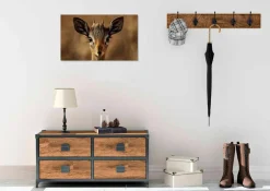 Wandkraft European Wildlife 010