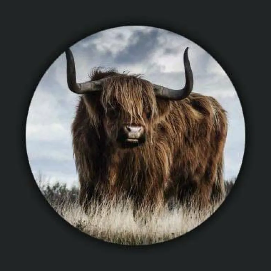 Wandkraft European Wildlife 000