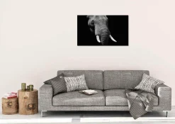 Wandkraft Faces 023 - Faces 74 x 74 cm