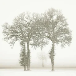 Wandkraft Ineen