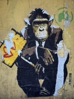 Wandkraft Monkey Business