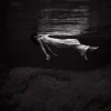 Wandkraft Moves 013