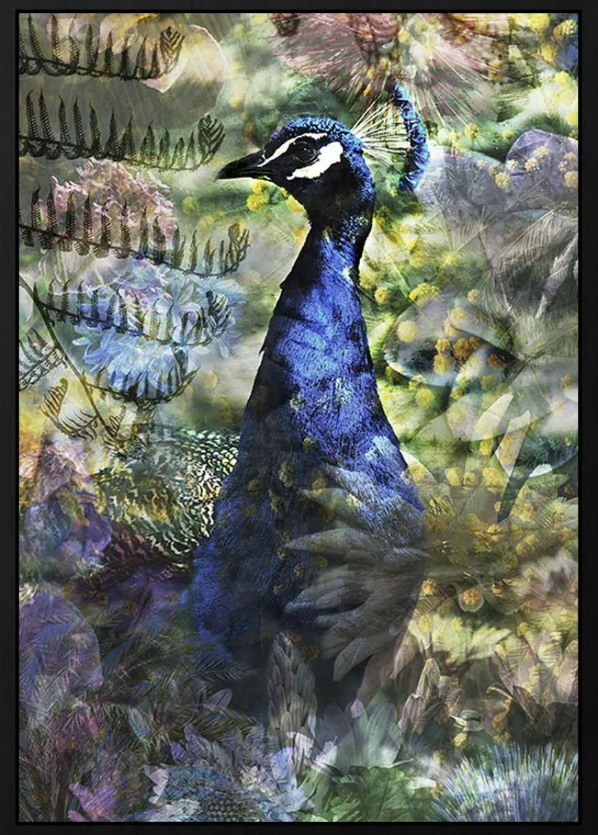Wandkraft Proud Peacock