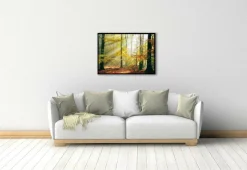 Wandkraft Sinfonia dela Foresta