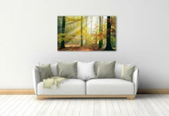 Wandkraft Sinfonia dela Foresta