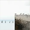 Wandkraft Summer Time 010