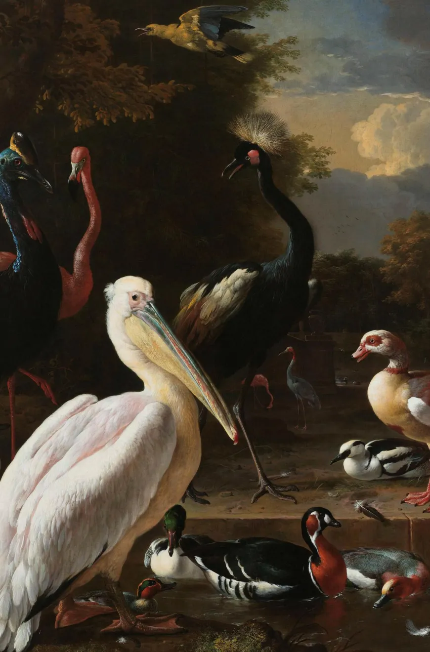 Wandkraft The floating feather by Melchior d'Hondecoeter