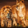 Wandkraft The Lion Family