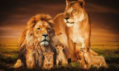 Wandkraft The Lion Family
