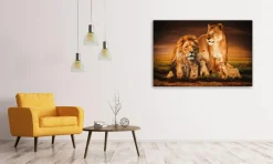 Wandkraft The Lion Family