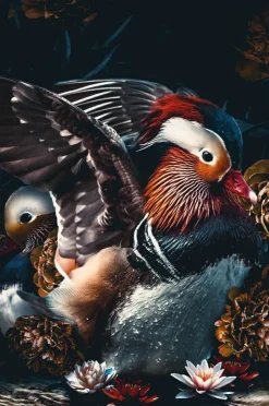 Wandkraft The Mandarin Ducks