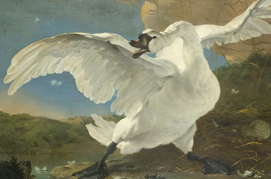 Wandkraft The Threatened Swan by Jan Asselijn
