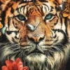 Wandkraft The Tiger