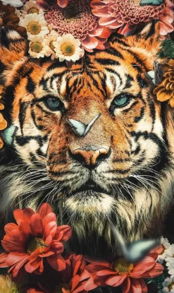 Wandkraft The Tiger