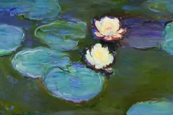 Wandkraft The Water Lily by Claude Monet