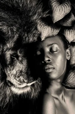 Wandkraft The Woman and Lion