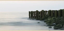Wandkraft Travel Stories 021