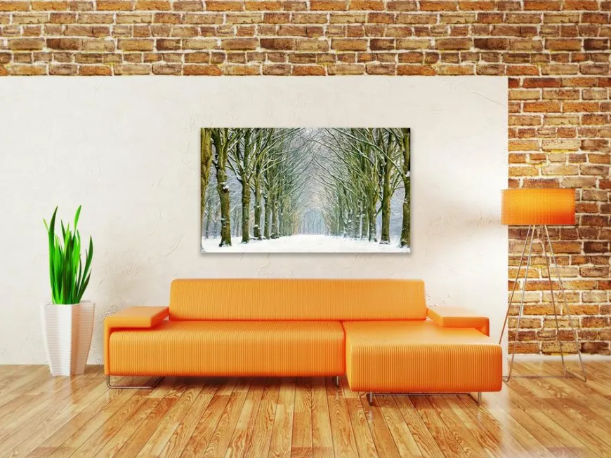 Wandkraft Tunnel of Trees