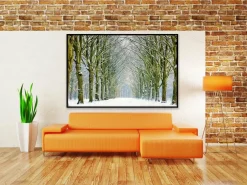 Wandkraft Tunnel of Trees