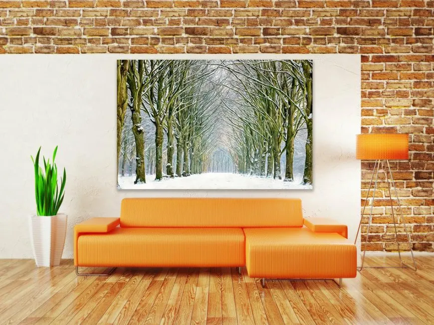 Wandkraft Tunnel of Trees
