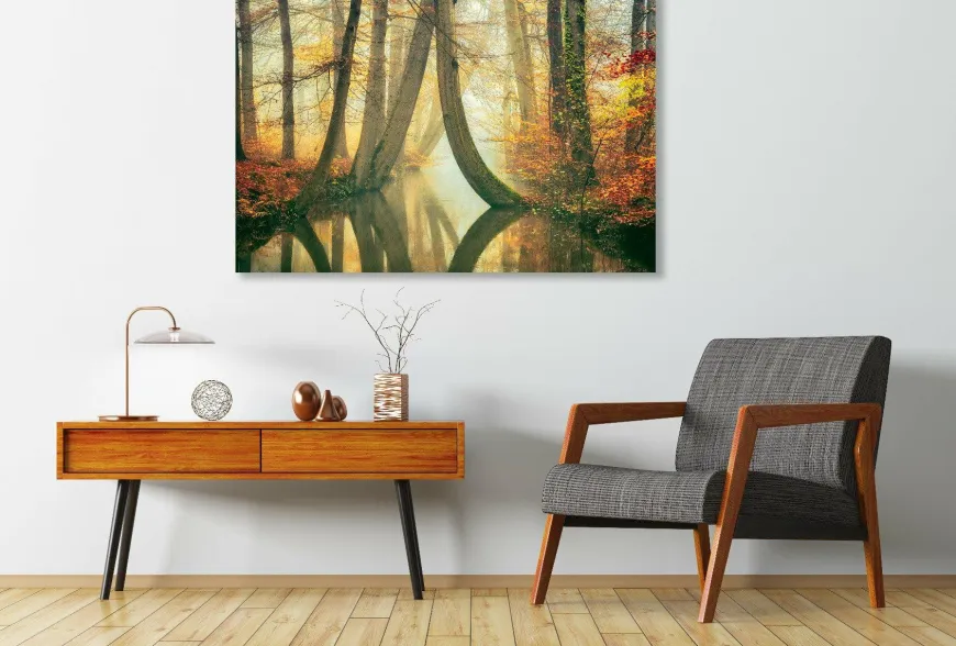 Wandkraft Waterjuffers