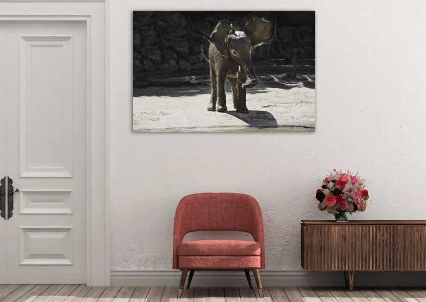 Wandkraft Wildlife 005