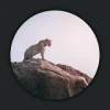 Wandkraft Wildlife 013 rond
