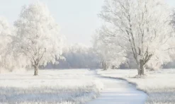 Wandkraft Winter Meadow